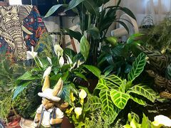 -Thai Basil罗勒叶泰式餐厅(时代天街店)