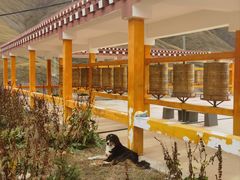 -比如骷髅墙景区