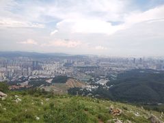 -长虫山生态公园风景林
