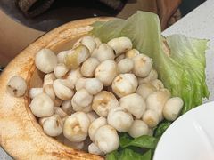 -百年果林椰子鸡(中洲店)
