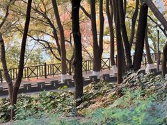 -上海市保健医疗中心