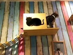 -小时光咖啡馆(开森度假森林店)