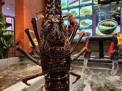 -万龙洲海鲜(南新仓店)