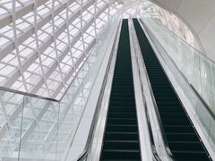 -凤凰中心