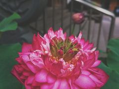 -龙华寺