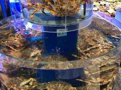 -新海渔港·胶东海鲜家常菜·家宴(奥体中心店)