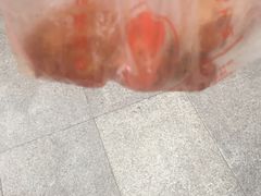 -潘大师炸鸡腿(莱蒙店)
