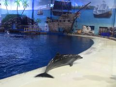 -华夏文旅海洋公园