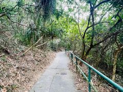 -南丫岛