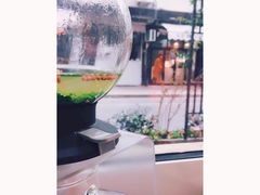 -茶是一枝花泡茶店