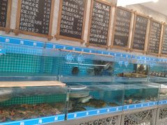 水产区-喜来酌海鲜·饺子(和平一店)