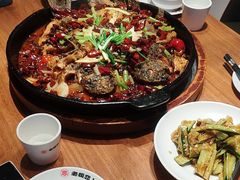 -老板恋上鱼(恒隆广场店)