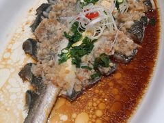 -大连湾旭日·家宴·海肠捞饭(马栏广场店)