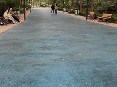 -苏州河梦清园环保主题公园