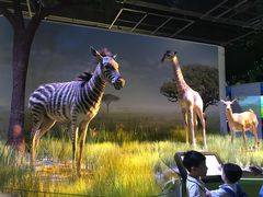 -香港科学馆