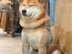 -三目仓咖啡(贤南路店)