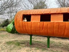 -西部长青自然儿童乐园