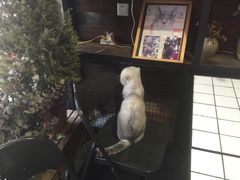 -MIKAKU(万达广场上海宝山店)