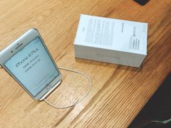 -Apple 零售店(Canton Road)