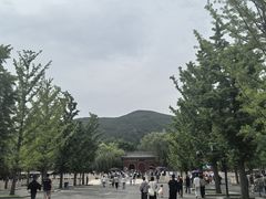 -晋祠公园