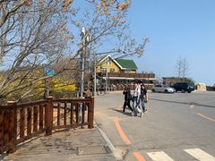 -怪坡茶馆
