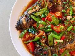 -生态苑农庄(十里画廊遇龙河店)