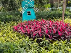 -南宫五洲植物乐园