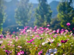 -周口店坡峰岭风景区