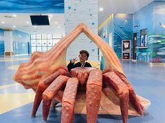 -芜湖新华联大白鲸海洋公园