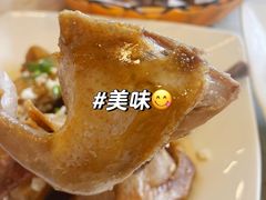 -百利鸽王(紫薇路店)