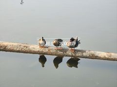 -广州雕塑公园