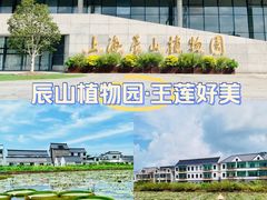 -上海辰山植物园