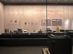 -广西壮族自治区博物馆