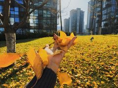 -辰熙ACX星海艺术中心