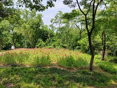 -盘龙城国家考古遗址公园