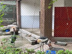 -南昌动物园