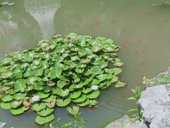 -玉女潭景区