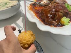 -丁老爷子苏香圆