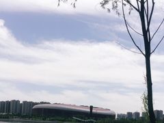 -山西体育中心红灯笼体育场