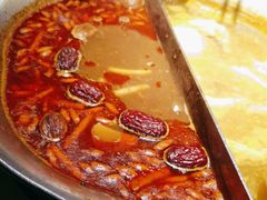 台式麻辣花胶鸡鸳鸯锅-湊湊火锅·茶憩(世博大道店)