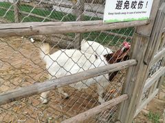 -静之湖湖畔餐厅