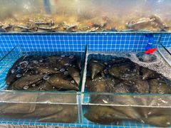 -蓝珊甄选海鲜自助·火锅大排档(近阿那亚店)