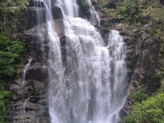 -海南热带雨林国家公园吊罗山景区