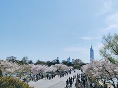 -紫峰大厦