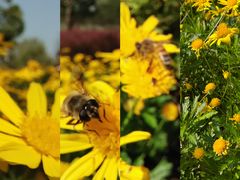 -汉长安城未央宫国家考古遗址公园