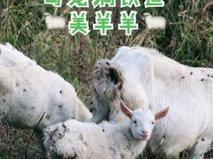 -乌龙涧铁道铁轨景