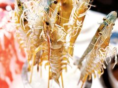 -海月轩海鲜豆捞(紫金塔店)