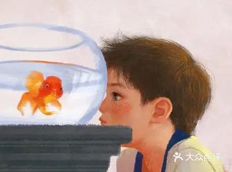 视觉的感受和艺术的憧憬