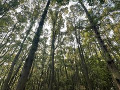 -同里国家湿地公园