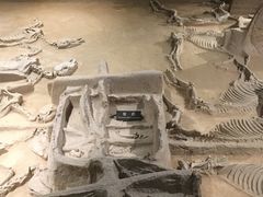 -洛阳周王城天子驾六博物馆